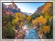 Stany Zjednoczone, Stan Utah, Park Narodowy Zion, Góry Watchman, Rzeka, Virgin River, Kamienie, Drzewa