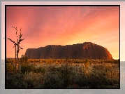 Australia, Wschód słońca, Góra, Skała, Ayers Rock, Uluru, Park Narodowy Uluru Kata Tjuta, Trawa