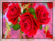 Kwiaty, Czerwone, Rozwinięte, Róże, Grafika