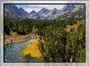 Góry, Sierra Nevada, Rzeka, Rock Creek, Drzewa, Lasy, Eastern Sierra, Stan Kalifornia, Stany Zjednoczone