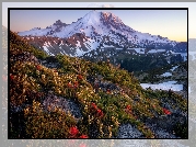 Stany Zjednoczone, Stan Waszyngton, Park Narodowy Mount Rainier, Stratowulkan Mount Rainier, Łąka, Kwiaty, Wschód słońca, Drzewa, Góry, Śnieg