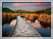 Pomost, Mokradło, Bagno, Pekapeka Wetlands, Pożółkłe, Trawy, Poukawa, Hawkes Bay, Nowa Zelandia