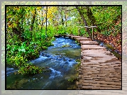 Chorwacja, Park Narodowy Jezior Plitwickich, Las, Pomost, Rzeka