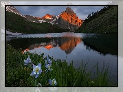 Góry, San Juan Mountains, Góra Sneffels, Jezioro, Blue Lake, Łąka, Kwiaty, Orlik niebieski, Stan Kolorado, Stany Zjednoczone