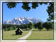 Góry Dachstein, Alpy Salzburskie, Droga, Drzewa, Szopa, Styria, Austria