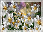 Białe, Kwiaty, Dzikie róże, Grafika 2D