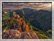 Góry Strażowskie, Karpaty Zachodnie, Skały, Drzewa, Słowacja