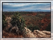 Wyżyna Kolorado, Region Monument Valley, Dolina Pomników, Rośliny, Skały, Stan Arizona, Stany Zjednoczone