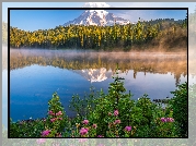 Park Narodowy Mount Rainier, Góry, Stratowulkan Mount Rainier, Drzewa, Świerki, Kwiaty, Mgła, Jezioro, Reflection Lake, Odbicie, Stan Waszyngton, Stany Zjednoczone