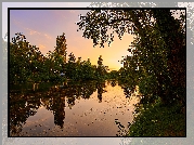 Zachód słońca, Staw, Park, Floridsdorfer Wasserpark, Drzewa, Wiedeń, Austria