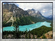 Góry, Canadian Rockies, Jezioro Peyto Lake, Drzewa, Park Narodowy Banff, Kanada