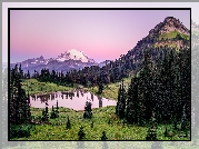 Stany Zjednoczone, Stan Waszyngton, Park Narodowy Mount Rainier, Stratowulkan Mount Rainier, Łąka, Trawa, Staw, Drzewa, Świerki, Góry