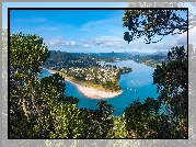 Drzewa, Rzeka, Tairua River, Pauanui, Region Waikato, Nowa Zelandia