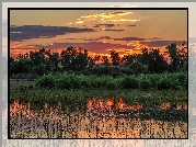 Wschód słońca, Jezioro, Lake Chatfield, Trawy, Drzewa, Kolorado, Stany Zjednoczone