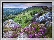 Skały, Wrzosy, Wzgórza, Park Narodowy Peak District, Anglia