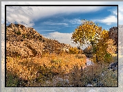 Jesień, Rzeka, Drzewa, Trawa, Skały, Park Narodowy Capitol Reef, Stan Utah, Stany Zjednoczone