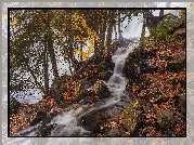 Drzewa, Kamienie, Strumyk, Wodospad, Bond Falls, Michigan, Stany Zjednoczone