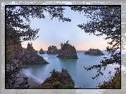 Stany Zjednoczone, Stan Oregon, Plaża, Secret Beach, Morze, Skały, Drzewa, Gałęzie, Wybrzeże, Człowiek