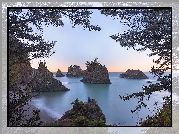 Stany Zjednoczone, Stan Oregon, Plaża, Secret Beach, Morze, Skały, Drzewa, Gałęzie, Wybrzeże, Człowiek