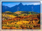 Góry, San Juan Mountains, Przełęcz, Dallas Divide, Jesień, Lasy, Drzewa, Kolorado, Stany Zjednoczone