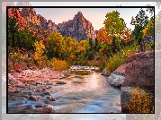 Park Narodowy Zion, Góry Watchman, Rzeka, Virgin River, Kamienie, Drzewa, Jesień, Stan Utah, Stany Zjednoczone