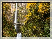 Wodospad, Multnomah Falls, Most, Drzewa, Las, Jesień, Stan Oregon, Stany Zjednoczone