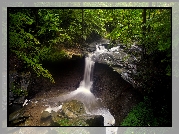 Wodospad, Blue Hen Falls, Rzeka, Skała, Las, Drzewa, Kamienie, Park Narodowy Cuyahoga Valley, Stan Ohio, Stany Zjednoczone