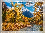 Park Narodowy Zion, Góry, Góra Watchman, Rzeka Virgin River, Kamienie, Drzewa, Jesień, Chmury, Stan Utah, Stany Zjednoczone