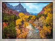 Jesień, Góry, Góra Watchman, Rzeka, Virgin River, Kamienie, Drzewa, Park Narodowy Zion, Utah, Stany Zjednoczone