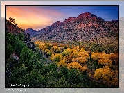 Jesień, Kolorowe, Drzewa, Góry, Kanion Sycamore, Arizona, Stany Zjednoczone