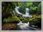 Wodospad, Horseshoe Falls, Skały, Omszone, Kamienie, Paprocie, Park Narodowy Mount Field, Tasmania, Australia