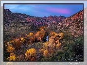 Jesień, Kolorowe, Drzewa, Góry, Kanion Sycamore, Rzeka, Arizona, Stany Zjednoczone