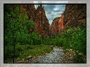 Kanion Zion Narrows, Rzeka, Virgin River, Drzewa, Kamienie, Park Narodowy Zion, Stan Utah, Stany Zjednoczone