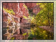 Góry, Skały, Drzewa, Rzeka, Kanion Sycamore, Arizona, Stany Zjednoczone