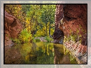 Stany Zjednoczone, Arizona, Sedona, Wąwóz, Oak Creek Canyon, Rzeka Oak Creek, Skały, Drzewa