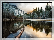 Góry, Rzeka, Merced River, Drzewa, Las, Odbicie, Park Narodowy Yosemite, Kalifornia, Stany Zjednoczone