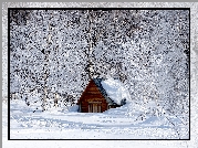 Zima, Las, Drzewa, Ośnieżony, Domek, Śnieg