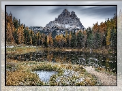 Jezioro, Antorno Lake, Mostek, Góry, Dolomity, Masyw, Tre Cime di Lavaredo, Drzewa, Prowincja Belluno, Włochy