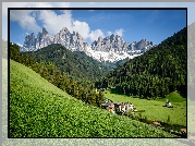 Włochy, Południowy Tyrol, Góry, Dolomity, Masyw Odle, Wieś, Santa Maddalena, Dolina Val di Funes, Drzewa, Trawa