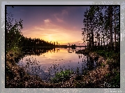 Park Narodowy Helvetinjarvi, Jezioro Haukkajarvi, Drzewa, Zachód słońca, Gmina Ruovesi, Finlandia