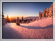 Zima, Wschód słońca, Śnieg, Drzewa, Góry, Tatry, Hala Młyńska, Koszary Łopuszańskie, Powiat nowotarski, Polska