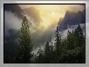 Dolina, Yosemite Valley, Park Narodowy Yosemite, Mgła, Góry, Drzewa, Lasy, Stan Kalifornia, Stany Zjednoczone