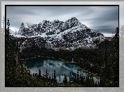 Kanada, Kolumbia Brytyjska, Park Narodowy Yoho, Jezioro, Lake OHara, Góry, Canadian Rockies, Las, Drzewa