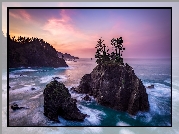 Morze, Skały, Drzewa, Wysepka, Wybrzeże, Wschód słońca, Park stanowy, Samuel H Boardman State Scenic Corridor, Oregon, Stany Zjednoczone