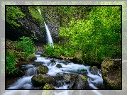 Wodospad, Upper Horsetail Falls, Rzeka, Skały, Kamienie, Zielone, Krzewy, Rośliny, Oregon, Stany Zjednoczone