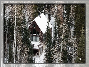 Dom, Las, Śnieg, Drzewa, Zima