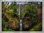 Wodospad, Multnomah Falls, Most, Skały, Rośliny, Drzewa, Hrabstwo Multnomah, Oregon, Stany Zjednoczone