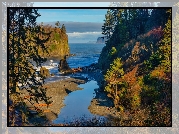 Stany Zjednoczone, Stan Waszyngton, Park Narodowy Olympic, Drzewa, Morze, Jesień, Plaża Ruby Beach