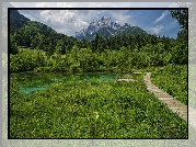 Góry, Lasy, Jezioro, Rezerwat przyrody Zelenci, Trawa, Pomost, Kranjska Gora, Słowenia