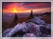 Stany Zjednoczone, Wirginia Zachodnia, Odbszar Dolly Sods Wilderness, Rezerwat przyrody Bear Rocks, Góry, Skały, Drzewa, Zachód słońca